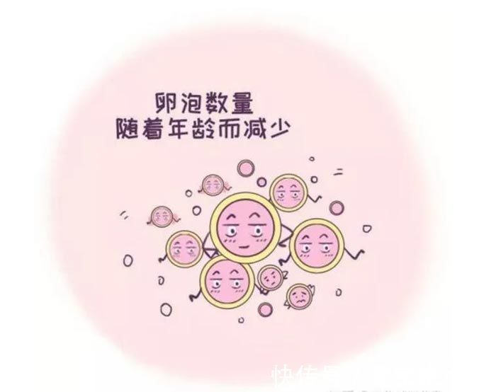 试管婴儿