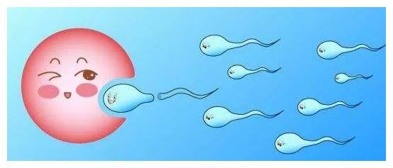 天津海外试管婴儿