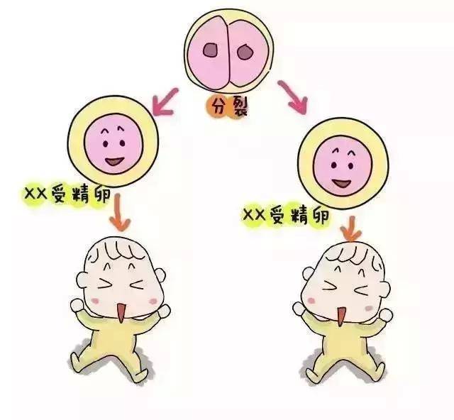 生女儿孕前准备