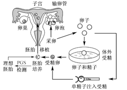 天津市试管婴儿