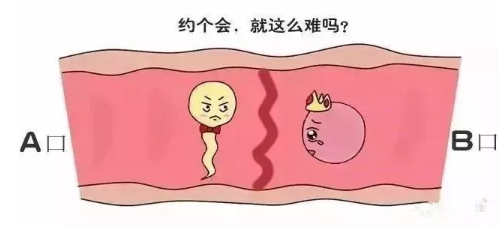 女性不孕
