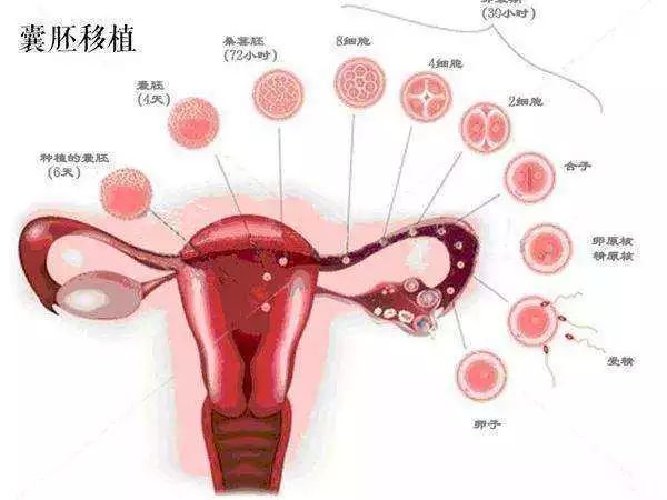 不孕不育