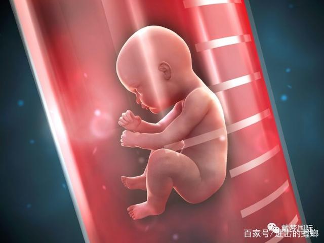 检查激素六项