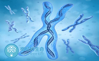 天津试管婴儿