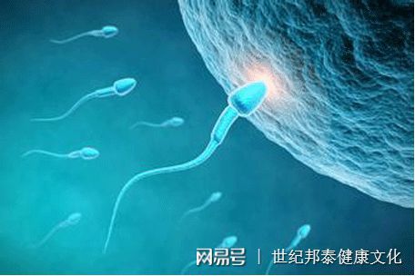 人工授精