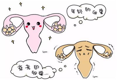 人工授精